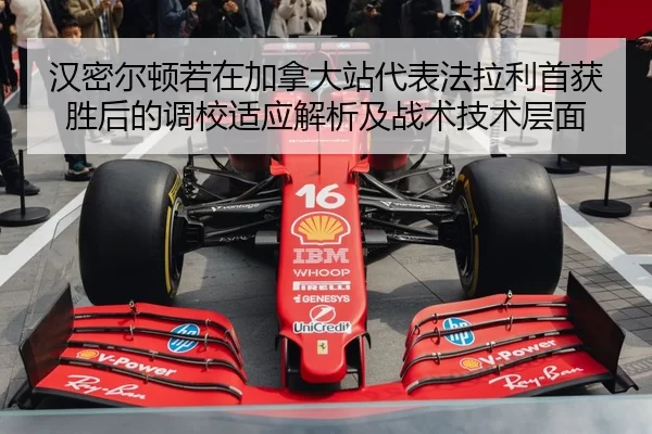 han-mi-er-dun-ruo-zai-jia-na-da-zhan-dai-biao-fa-la-li-shou-huo-sheng-hou-de-diao-xiao-shi-ying-jie-xi-ji-zhan-shu-ji-2-598.jpg