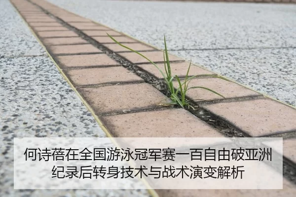 何诗蓓在全国游泳冠军赛一百自由破亚洲纪录后转身技术与战术演变解析